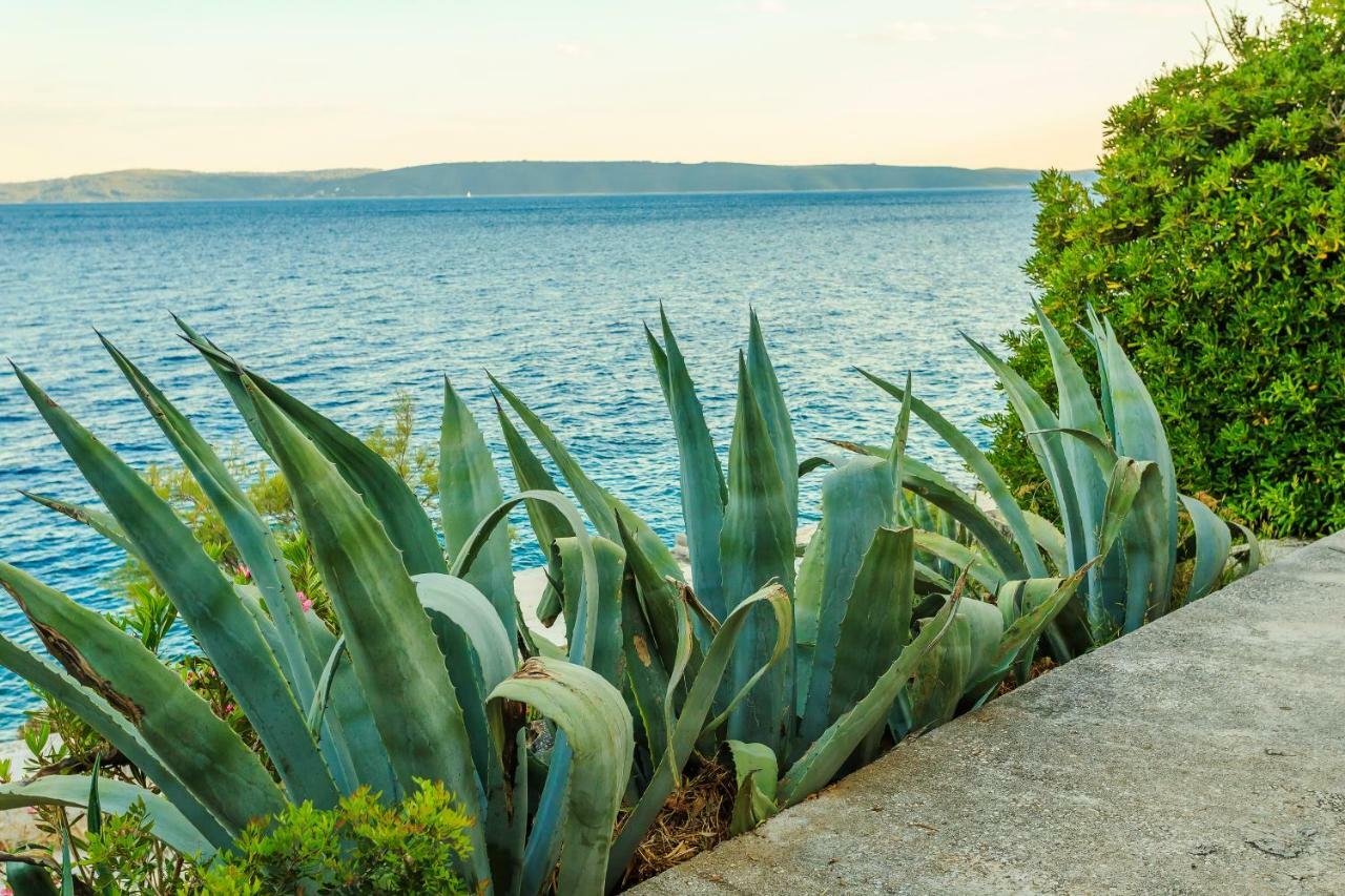 Holiday Home Lola, Sea On A Palm! Heated Pool โตรกีร์ ภายนอก รูปภาพ